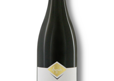 Ostarrichi Cuvée Blaufränkisch/Merlot